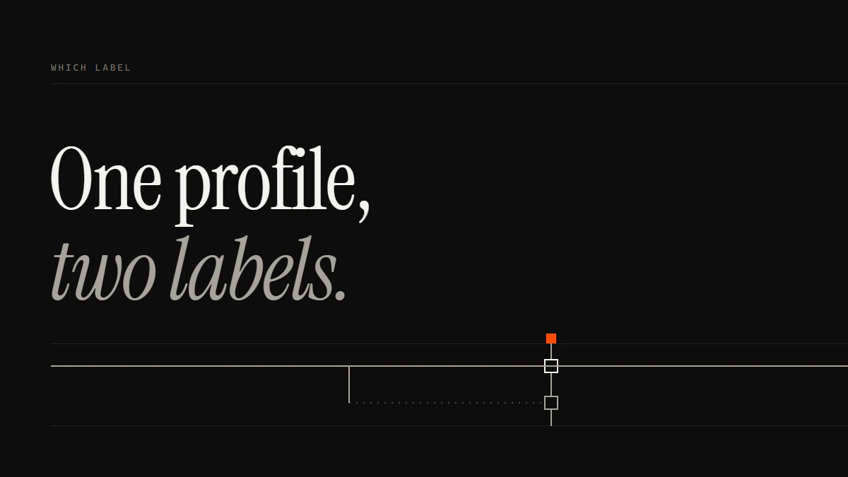 Banner reading One profile, two labels: the report fake Facebook account route forks into an identity check and a bot check.