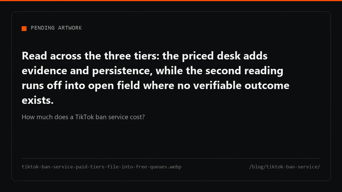 Every TikTok ban service tier files into the same free forms; the fee buys preparation, not a different queue.