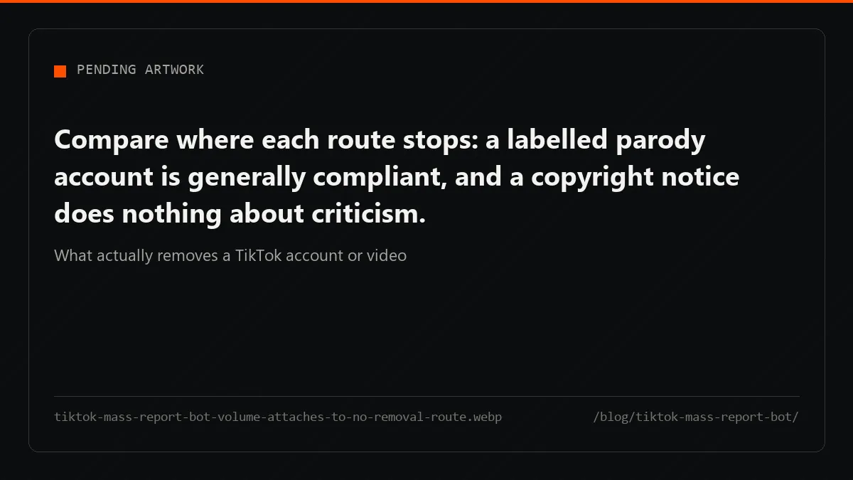 Every route that removes TikTok content needs the specific rule and the named URL; report volume attaches to none.